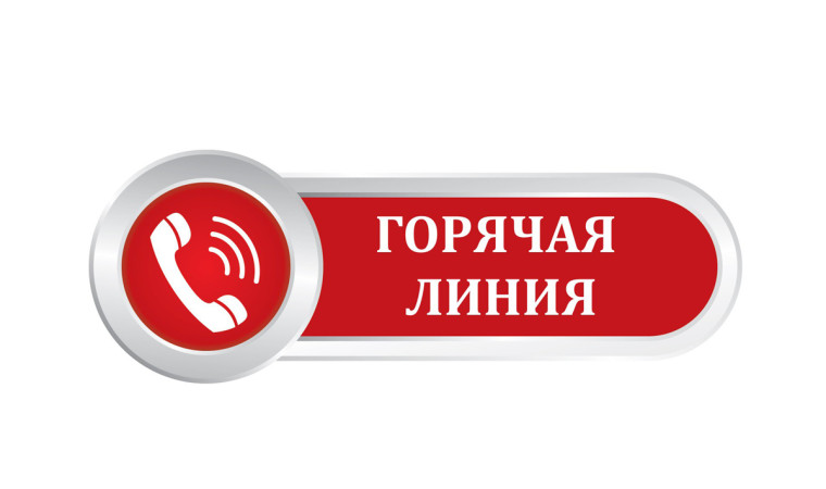 Телефоны горячей линии школы по вопросам организации учебного процесса:.